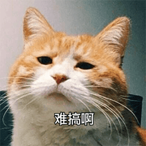 申請博士的導師沒名額了，我被他推薦給了院士！學術圈撿漏大王！