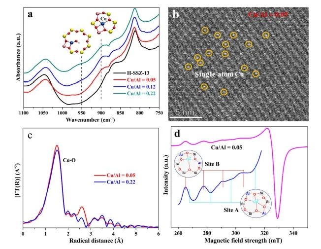 催化日報(bào)||頂刊集錦：Nature子刊/JACS/Angew./EES/ACS Nano等成果