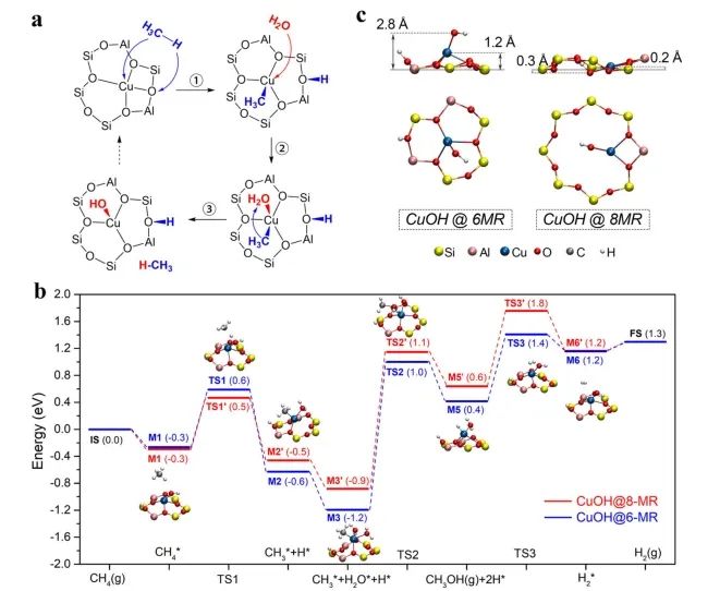 催化日報(bào)||頂刊集錦：Nature子刊/JACS/Angew./EES/ACS Nano等成果