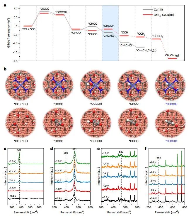 重磅！Edward H. Sargent院士，再發(fā)Nature Nanotechnology！
