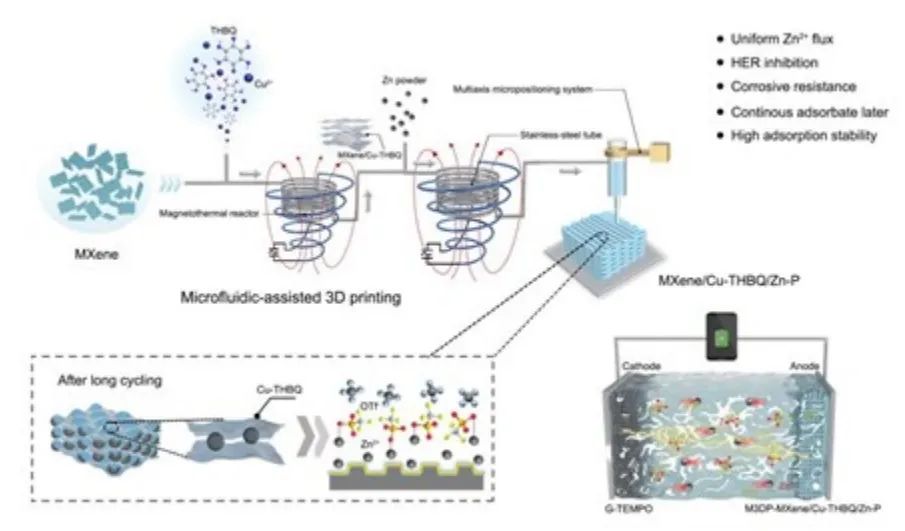 ?揚大龐歡AM：微流控輔助3D打印二維導電MOF/MXene異質結構用于高穩(wěn)定性有機鋅電池