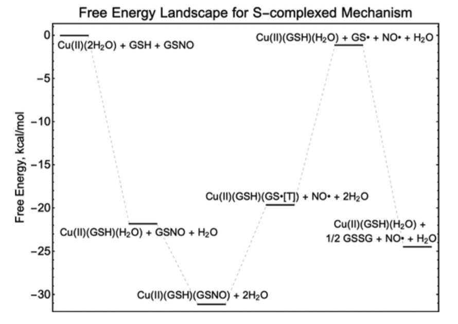 【純計算】JACS: 銅金屬-有機骨架催化S-亞硝基谷胱甘肽生成NO機制的計算研究