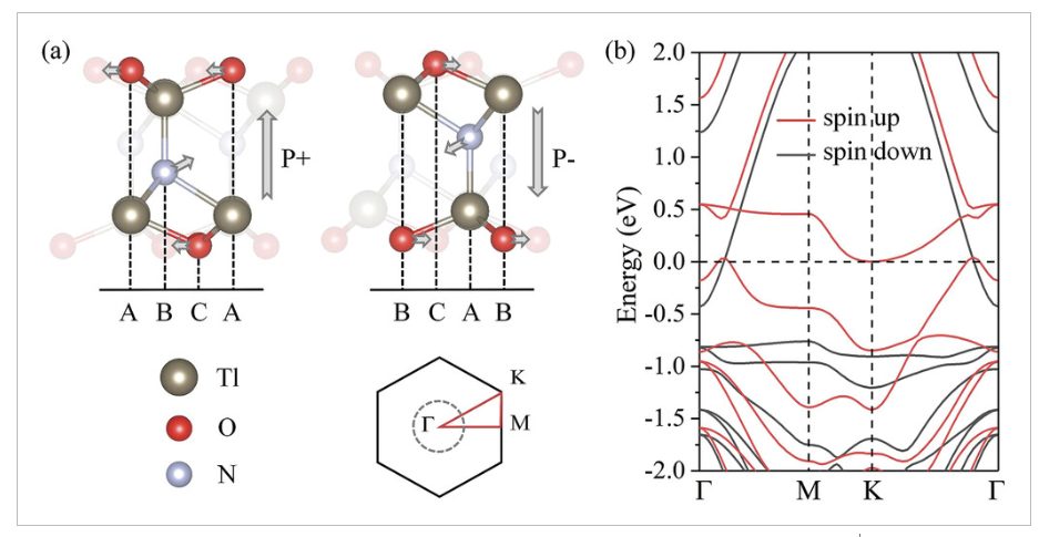 【純計算】AFM：二維晶格中的d0磁性skyrmions