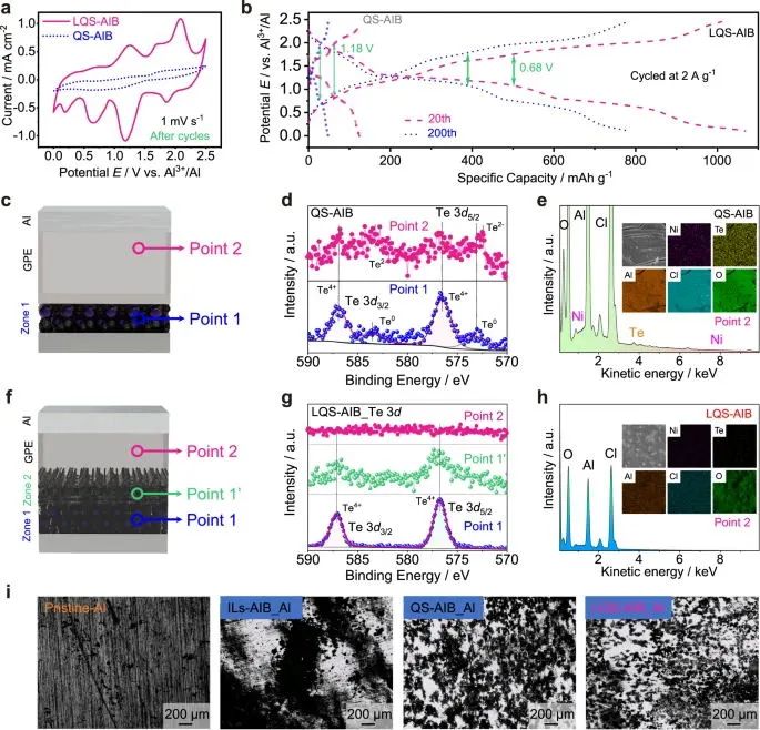 ?北科焦樹強(qiáng)等，最新Nature子刊！