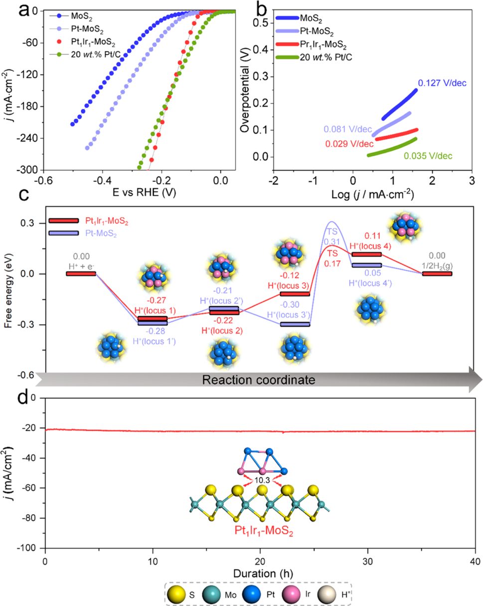 【MS計算解讀】ACS Catalysis：氫溢出基氫演化二元電催化劑的發現：理論與實驗