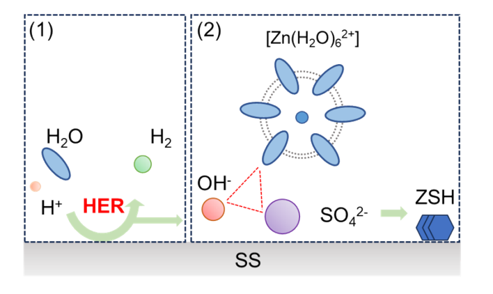 數篇Science、Nature中招，紐扣電池測試有陷阱！最新EES喊你來避雷！