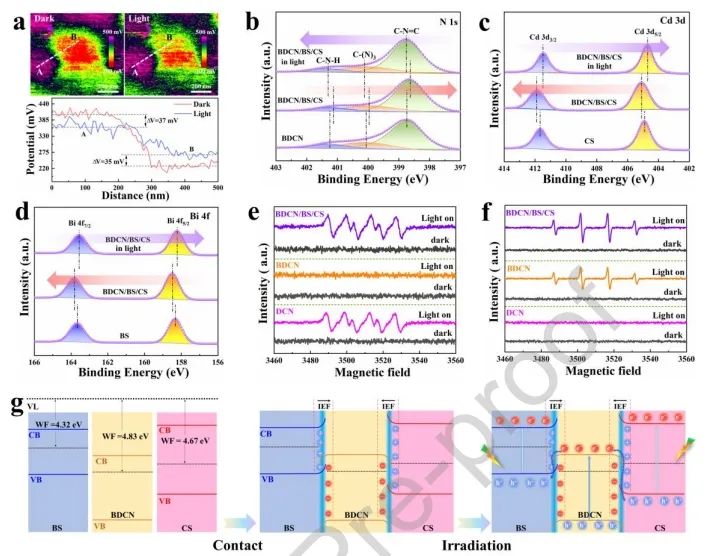 云南大學Nano Energy：雙S型異質結實現多通道電荷轉移，增強光熱-光催化性能
