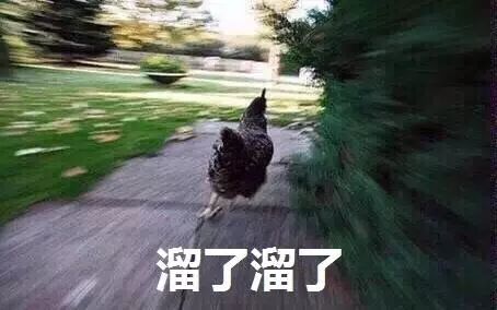 遇到水貨研究生是什么體驗？導師：這屆學生我想退貨…