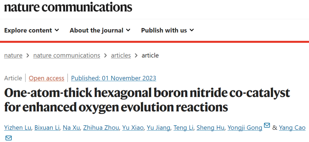 Nature子刊：原子級(jí)hBN共催化劑助力OER！