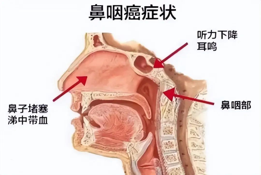 雙一流高校女教授和校門口擺攤的丈夫，女教授：他都是為了我