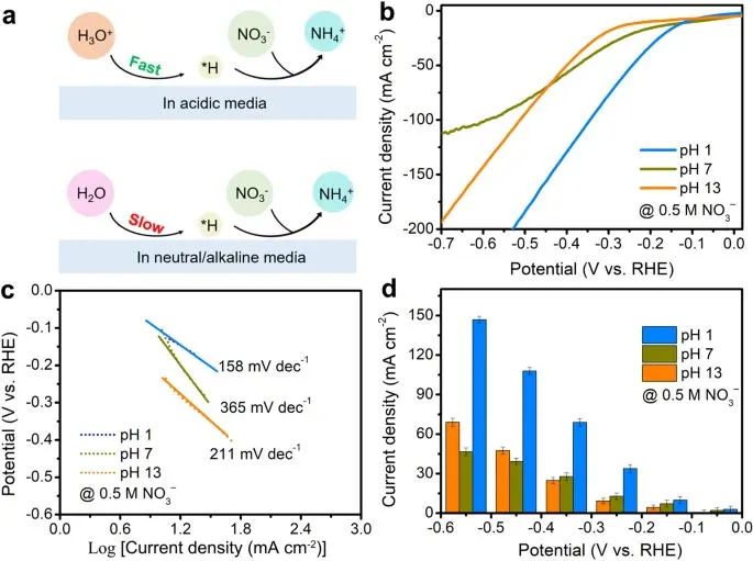 支春義教授，最新Nature子刊！
