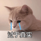 硬核！新郎是碩士伴郎是博士，接親當天新娘現場出了份試卷....