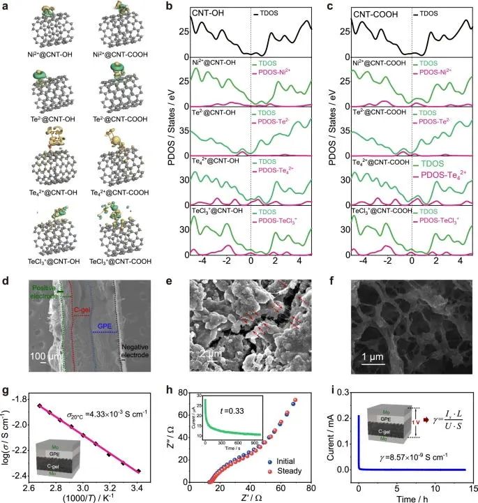 ?北科焦樹強(qiáng)等，最新Nature子刊！