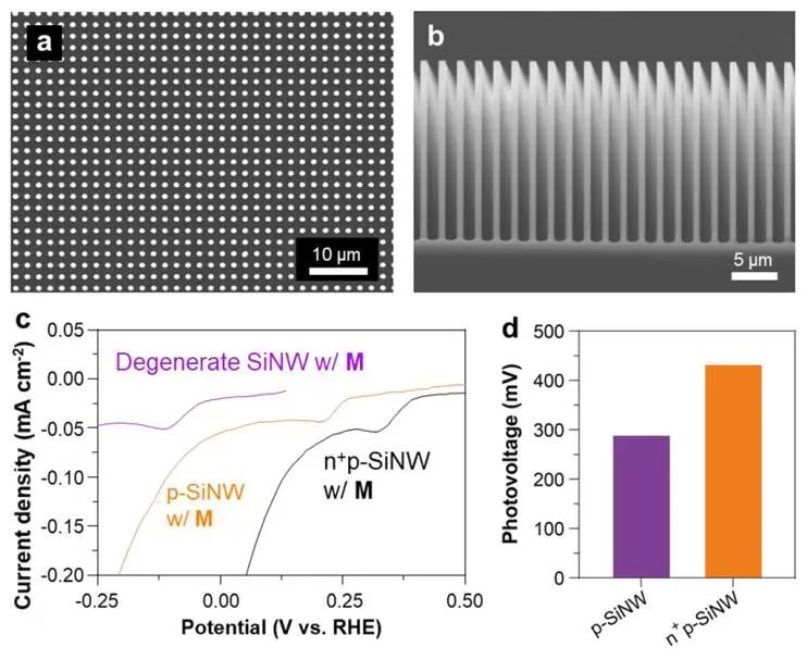 楊培東院士團隊，最新JACS！