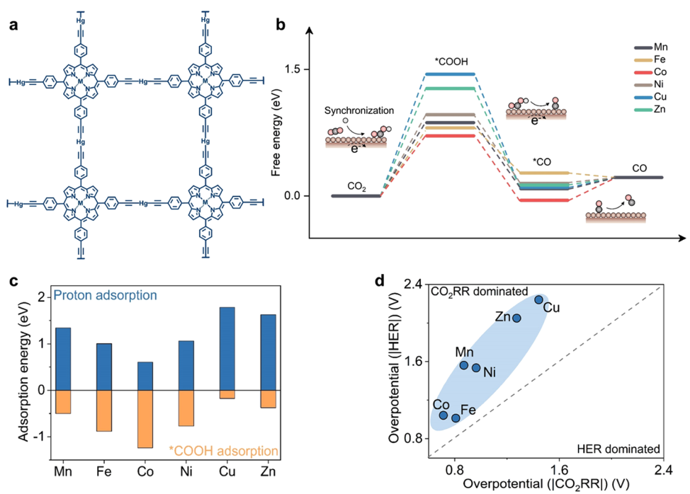 【計算+實驗】最新頂刊：JACS、Nature子刊、AFM、Angew.、Nano Research等成果集錦！