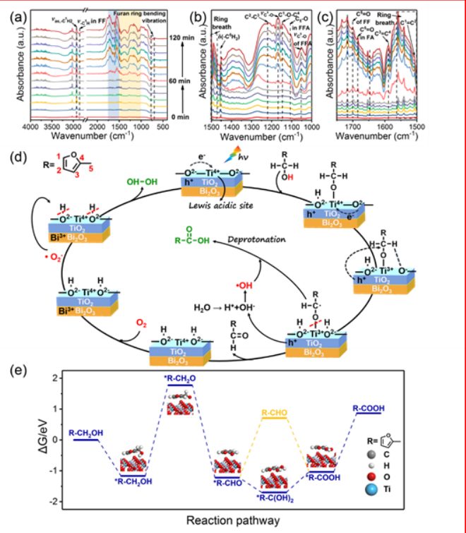 最新【計算+實驗】案例解讀：Nature子刊、JACS 、Angew、ACS Catalysis、ACS Nano等
