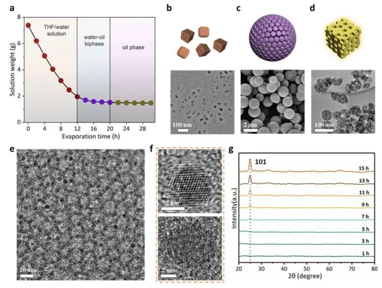 趙東元院士/蘭坤教授，最新JACS！