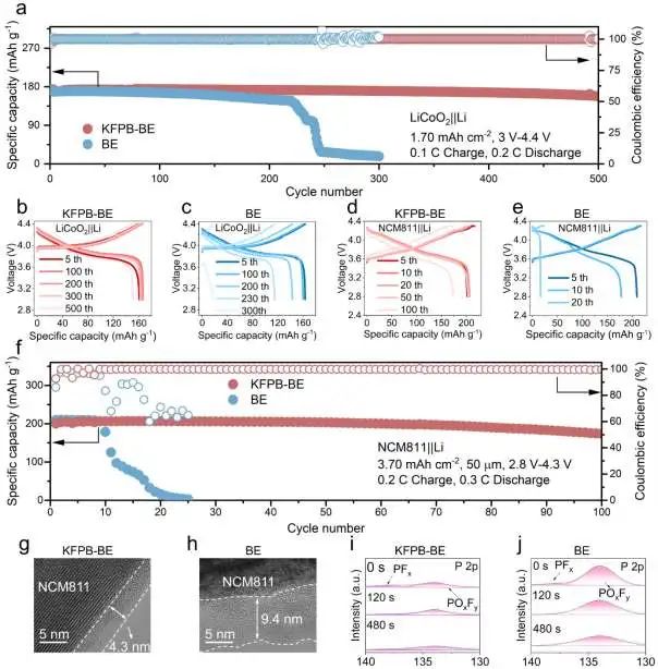 8篇頂刊速遞：郭玉國、崔光磊、侴術雷、鄭子劍、孫潔、周江、梁叔全、王成亮、辛森、李麗等成果集錦！