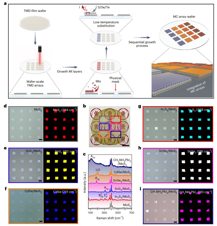 投稿到接收僅半年！廣工大黃少銘課題組最新Nature Nanotechnology！