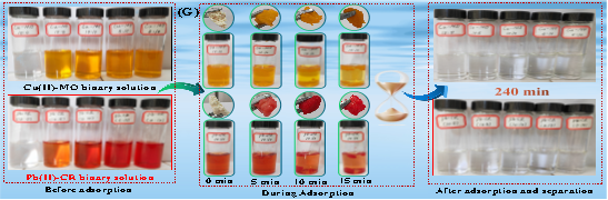 張光華/冀豪棟/曾湘楚CEJ：協同去除水體二元污染物中絡合-吸附-降解的分子水平理解