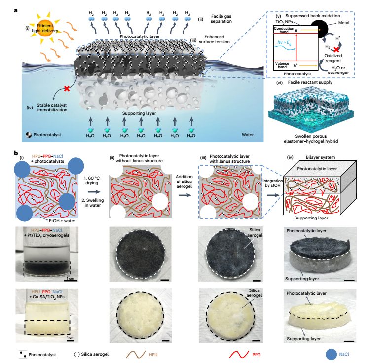 里程碑突破！Nature Nanotechnology：光催化產(chǎn)氫，實現(xiàn)大規(guī)模應(yīng)用！