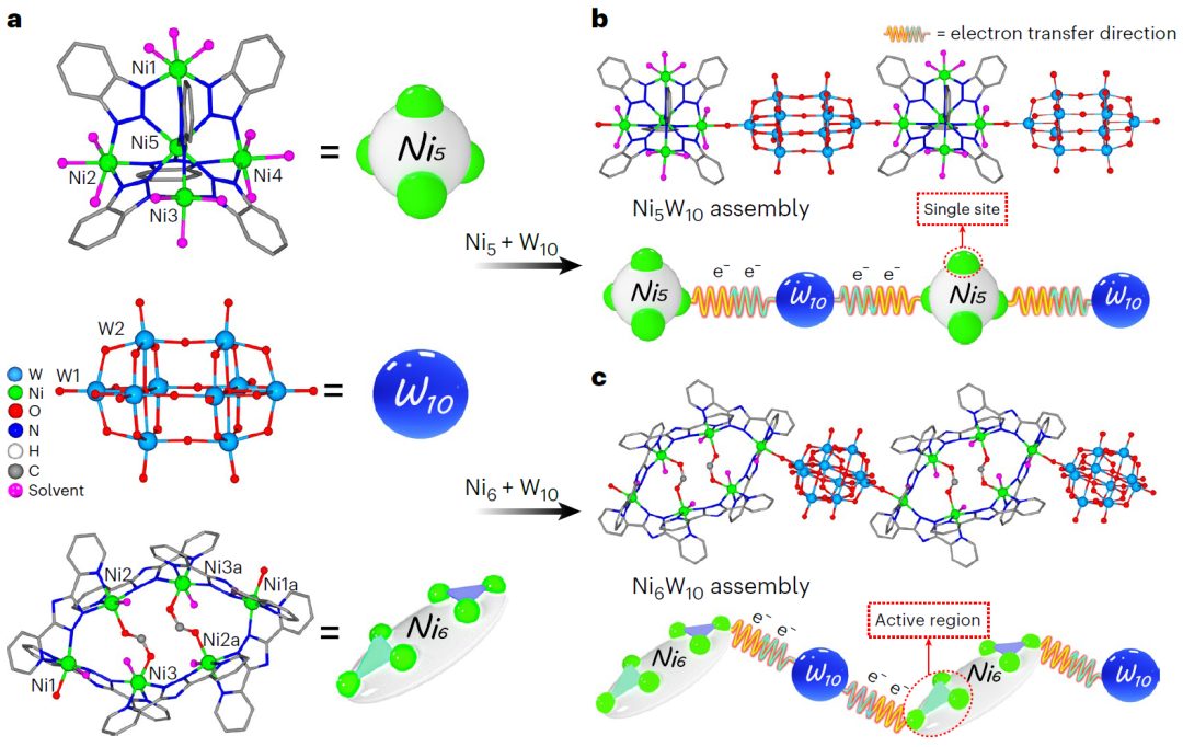 這所大學(xué)，迎來(lái)首篇Nature Synthesis！
