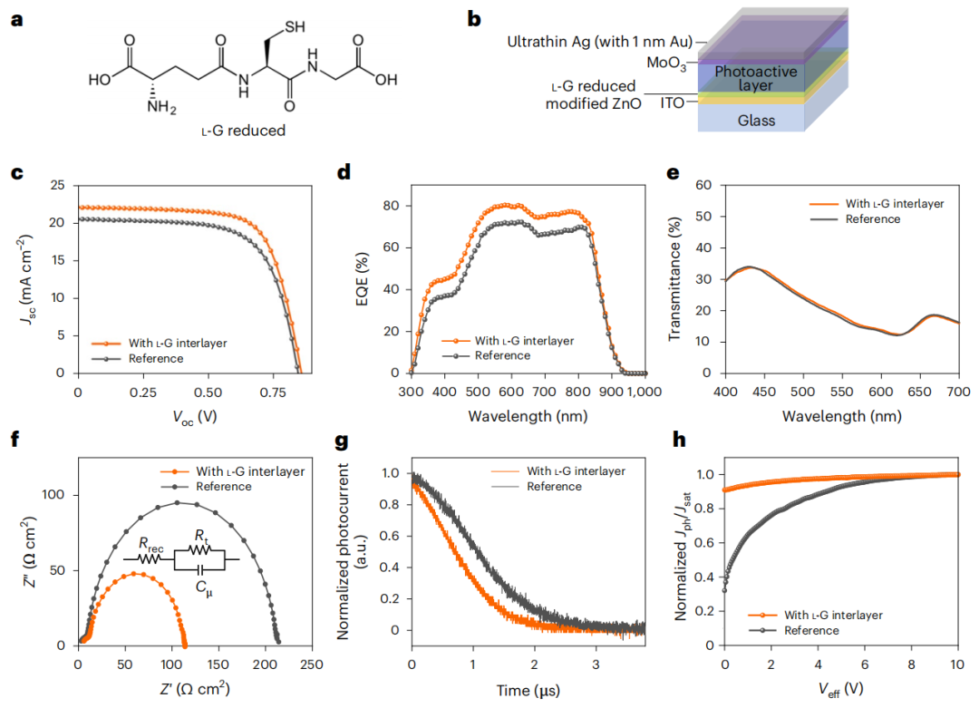 重大突破！UCLA楊陽最新Nature Sustainability！