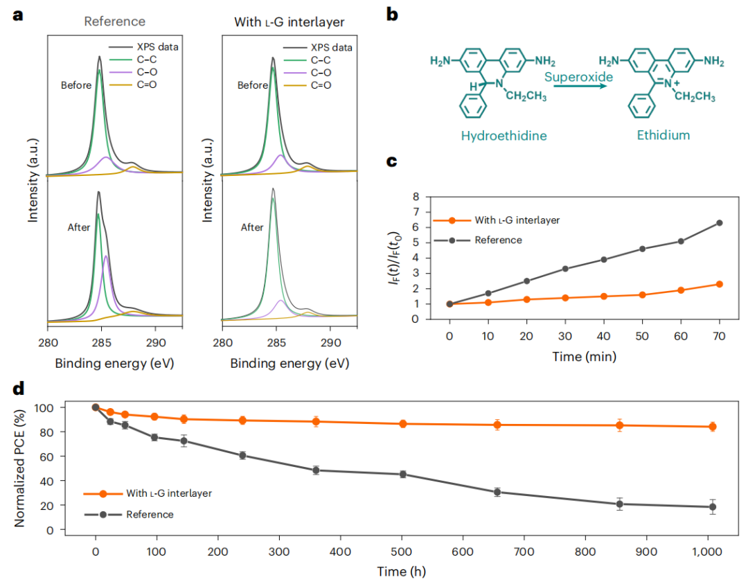 重大突破！UCLA楊陽最新Nature Sustainability！