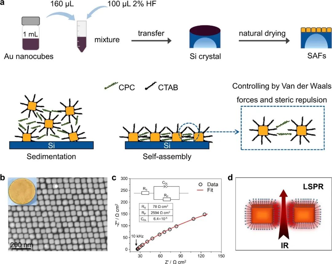華中科技大學(xué)楊旋教授團隊Nature Communications：基于金超晶格薄膜揭示電化學(xué)一氧化碳還原過程中C?C偶聯(lián)機理