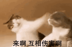 審稿潛規則！原來中國審稿人更愛拒中國人！
