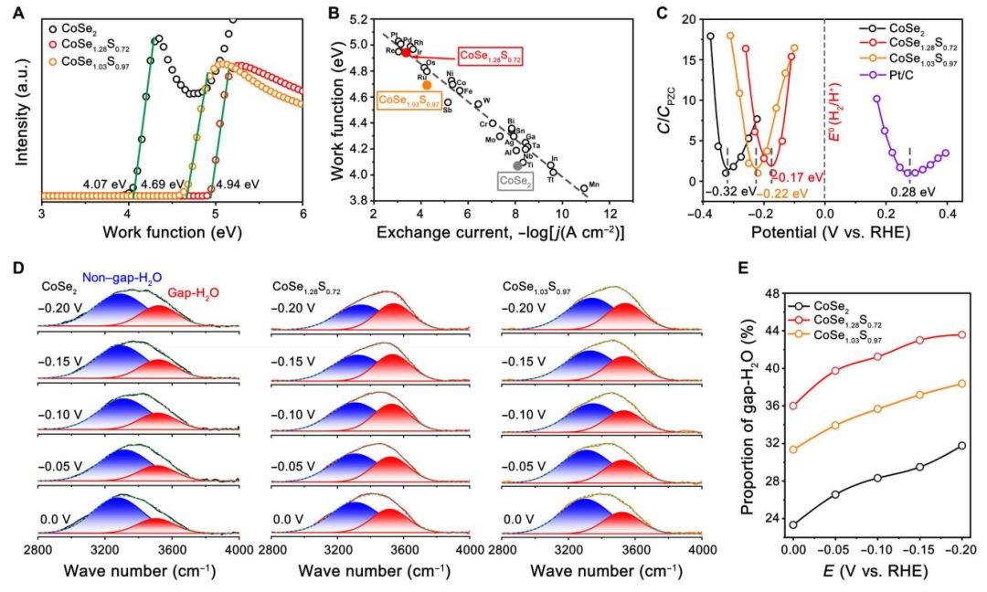中科大高敏銳：最新Science子刊！