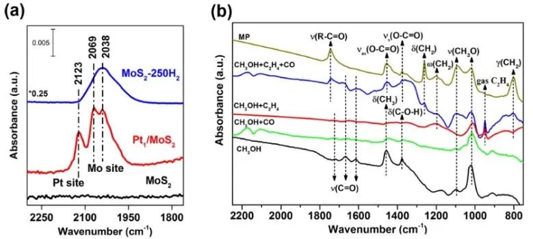 王愛琴/張磊磊/張天雨JACS：金屬-載體協同立大功，助力Pt1/MoS2催化乙烯甲氧基羰基化