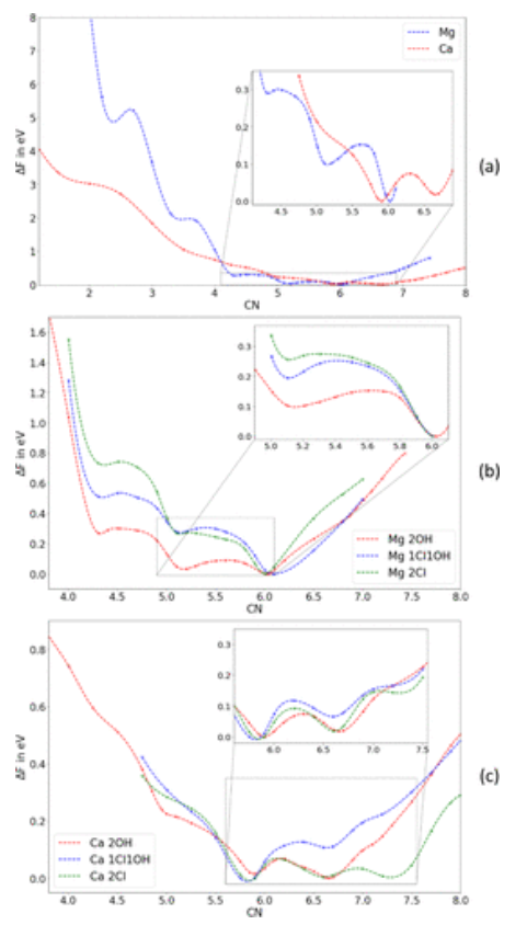 【純計算】JACS：用多級量子力學/分子動力學模擬探討水溶液中Mg和Ca離子的pH依賴脫水動力學