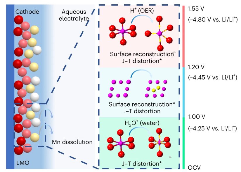 最新Nature Nanotech.：關(guān)注正極材料的降解機制
