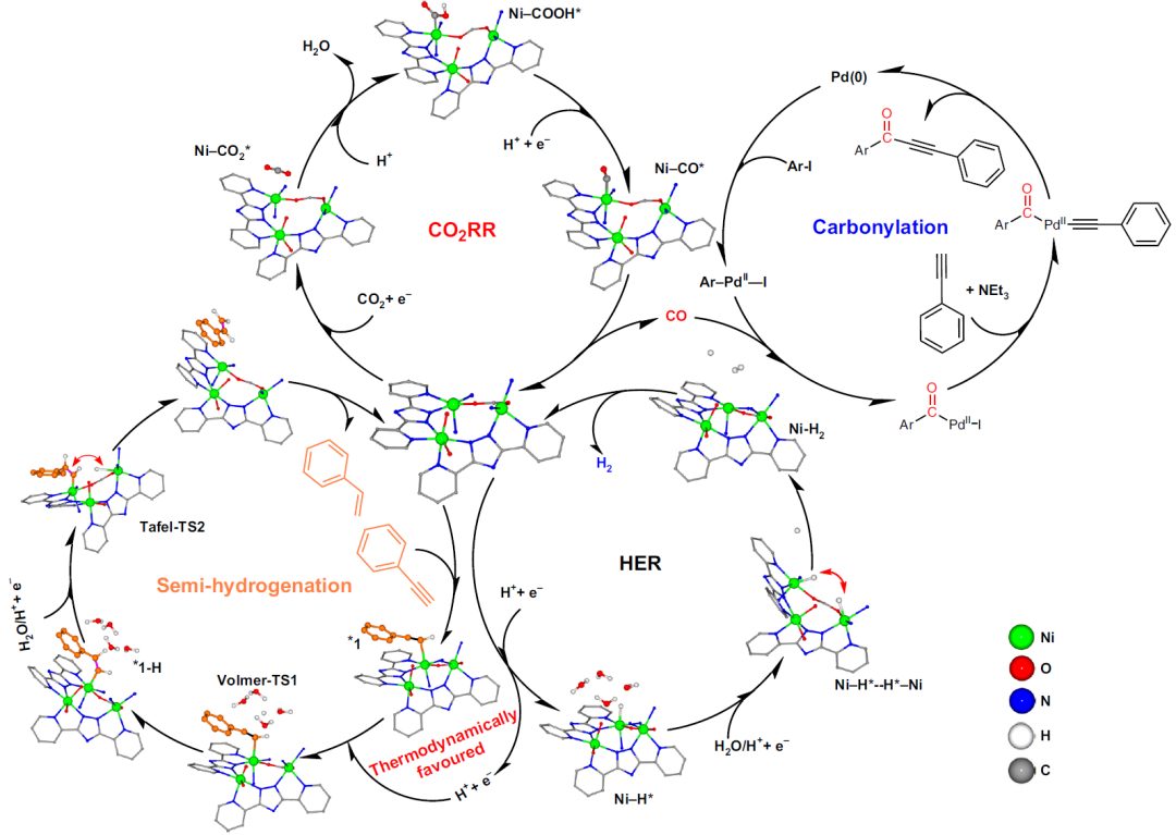 這所大學(xué)，迎來(lái)首篇Nature Synthesis！