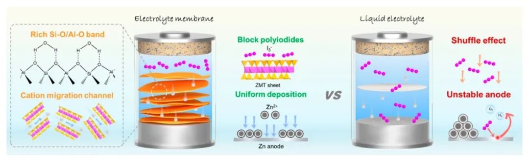 ?南工大孫庚志/南航竇輝ACS Nano: 可回收粘土基電解質的協同離子篩分和溶劑化調節用于穩定鋅-碘電池