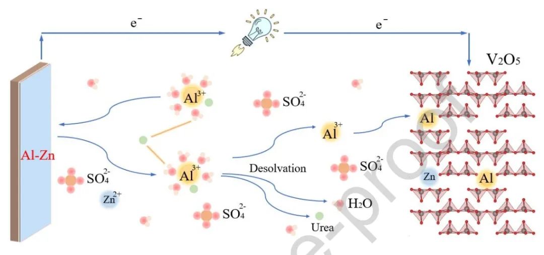 ?上交Nano Energy：尿素基水合共晶電解質用于水系鋁鋅混合離子電池