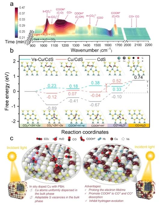 湖南大學ACS Catalysis：Cu摻入CdS體相中，實現高效光催化CO2還原