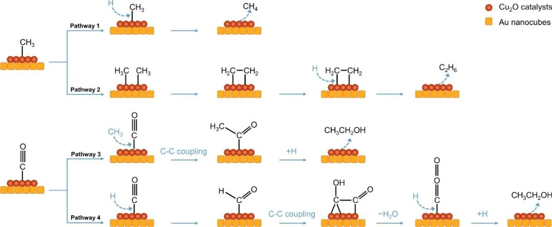 華中科技大學(xué)楊旋教授團隊Nature Communications：基于金超晶格薄膜揭示電化學(xué)一氧化碳還原過程中C?C偶聯(lián)機理