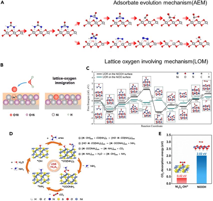 華科Chem Catalysis：如何建立尿素氧化中催化劑結構，活性物種和產物選擇性三者的構效關系？