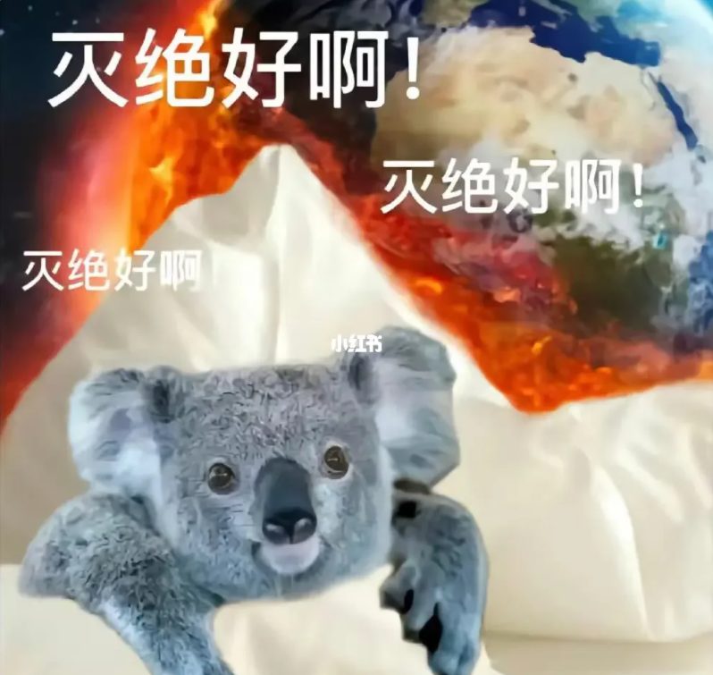 寫論文寫崩潰，花300找算命的算了一卦！結果......