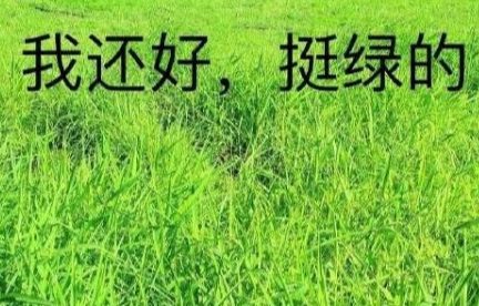 兩篇畢業論文致謝同一個女朋友？哈哈哈哈！