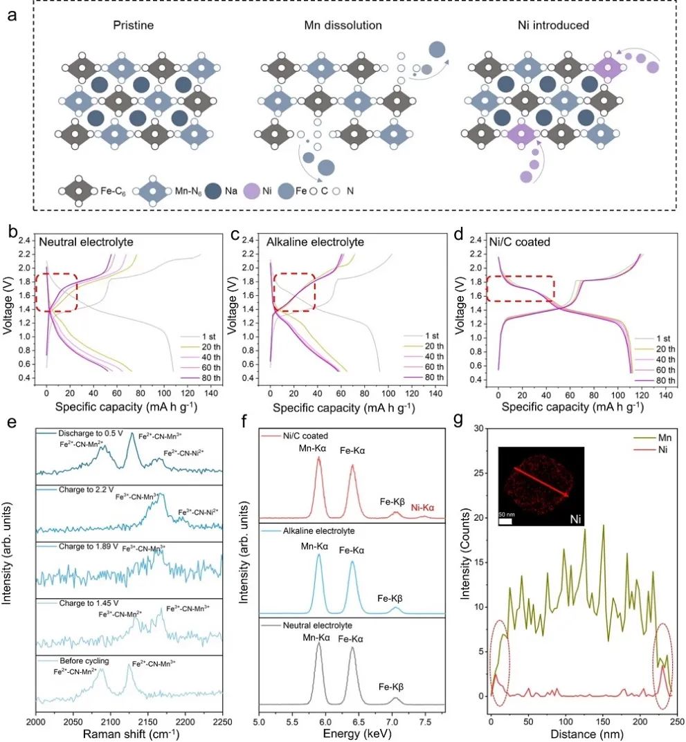 喬世璋團(tuán)隊(duì)2024年首篇Nature子刊！