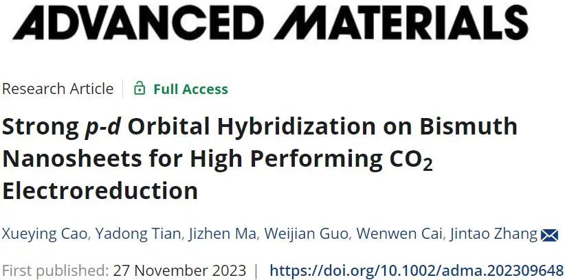 山東大學AM：強p-d軌道雜化的鉍納米片用于高效CO2電還原