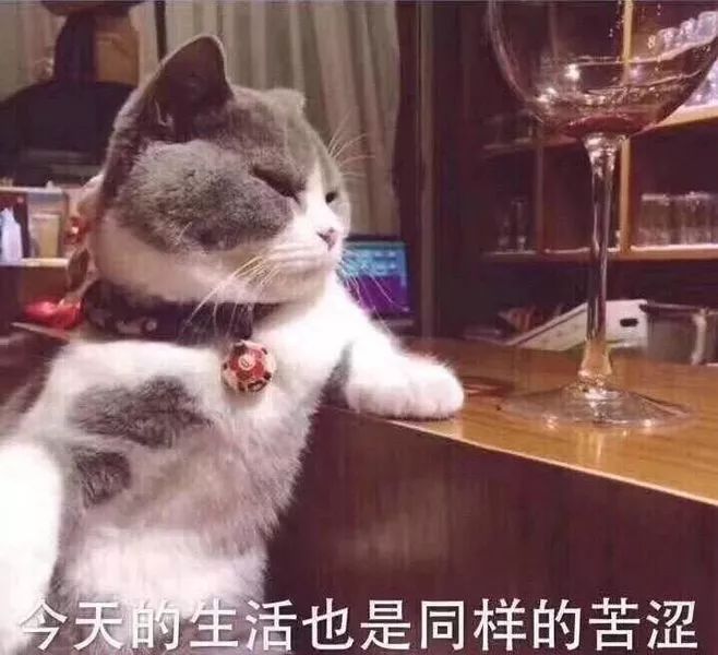 博士師弟：實驗室發了50篇SCI的菌，被我一鍋端了...