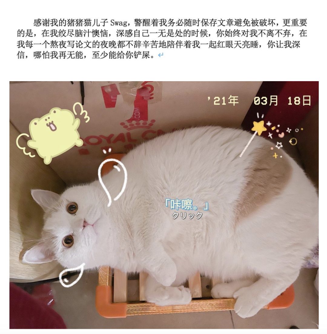 謝謝黃燜雞，謝謝男朋友不曾出現……這屆畢業論文致謝過于真實了！