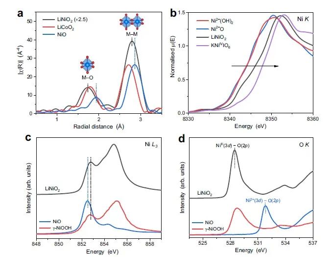 上海應物所張林娟團隊，最新Nature子刊！