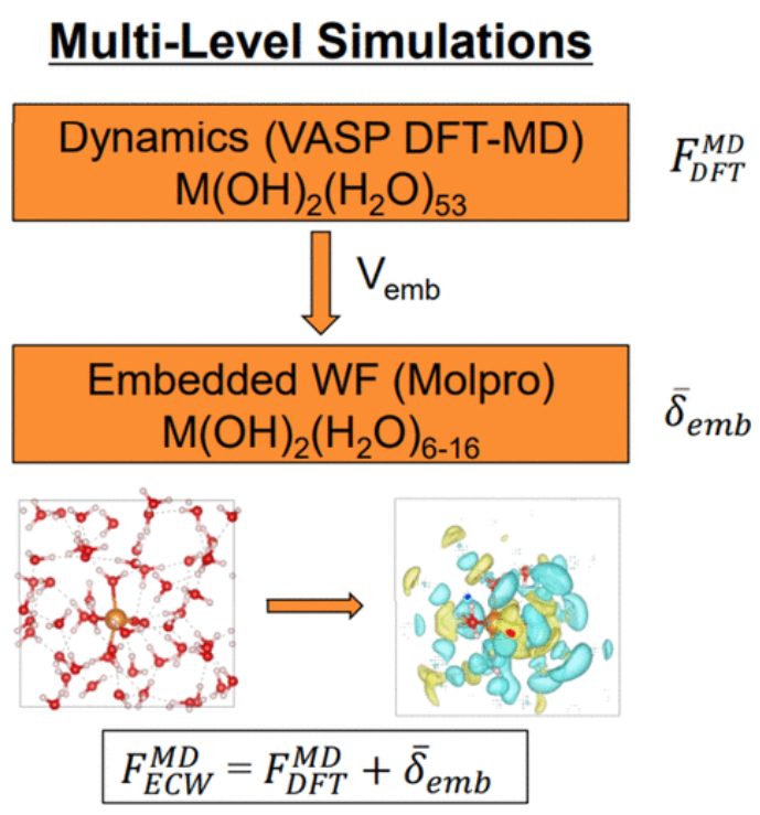 【純計算】JACS：用多級量子力學/分子動力學模擬探討水溶液中Mg和Ca離子的pH依賴脫水動力學