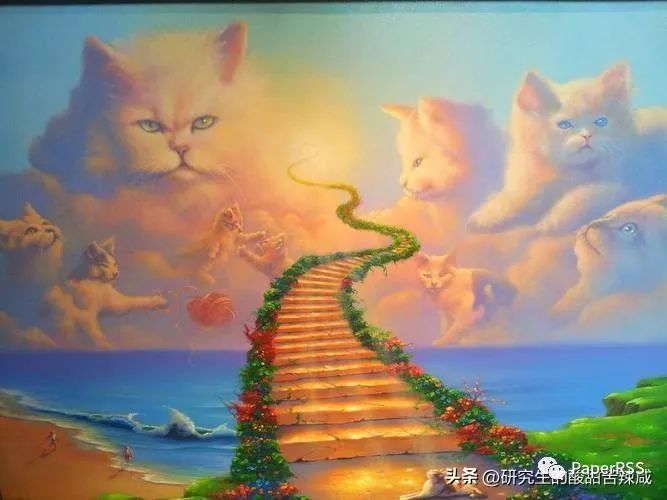 博士畢業(yè)，去三四流高校的生存攻略！