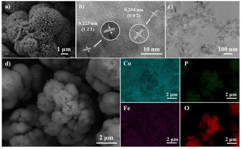 江南大學(xué)ACS Catalysis：Co-Fe協(xié)同作用立大功，實(shí)現(xiàn)溫和條件下促進(jìn)CO2轉(zhuǎn)化為C6+二元酸
